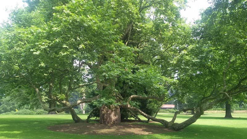 Kalheupink park - Image 2