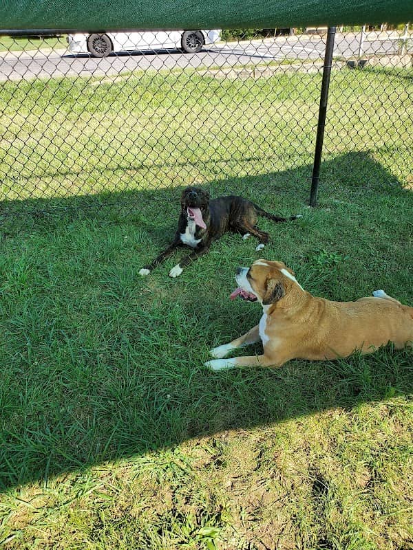Lisbon Dog Park - Image 1
