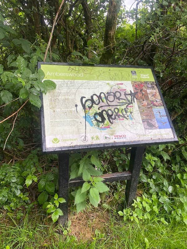 Amberswood Map - Image 2