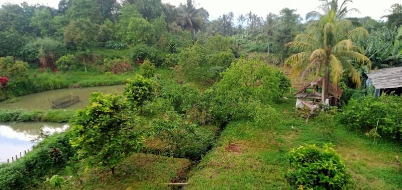 AR FARM - Image 1