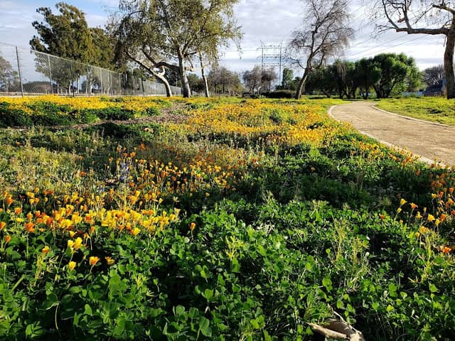 West San Gabriel River Parkway Nature Trail - Image 1