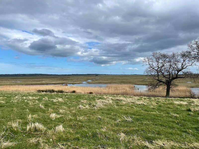 Elmley National Nature Reserve - Image 2