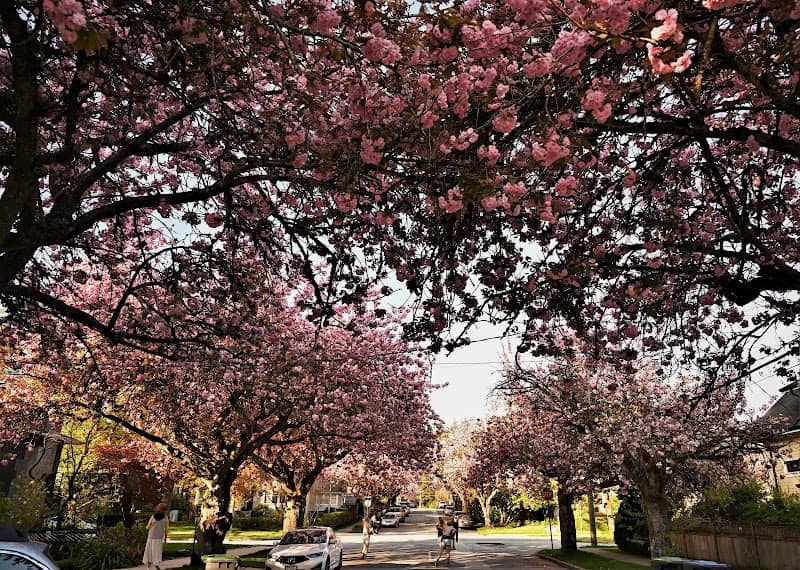 Sullivan Park - Image 2
