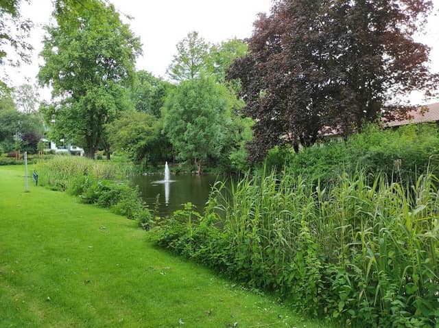 Stadt Park - Image 1