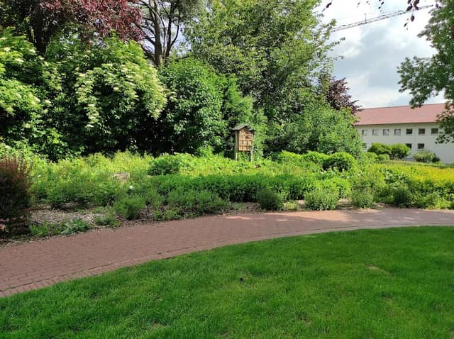 Stadt Park - Image 2