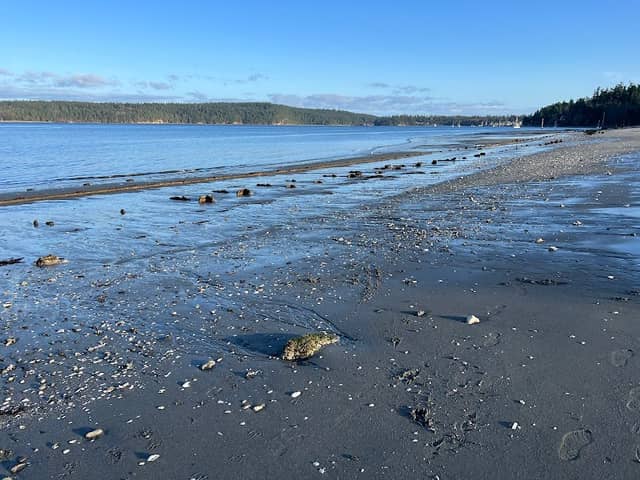 Irondale Beach County Park - Image 1