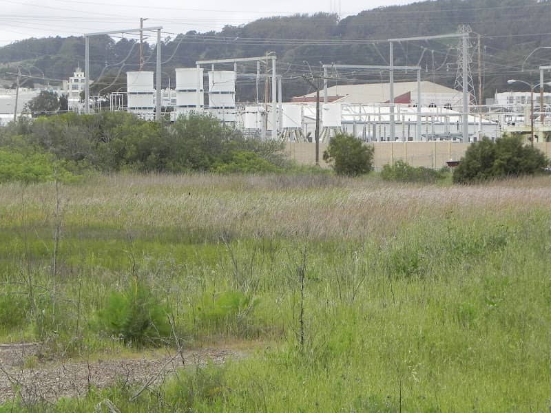 Visitacion Creek Marsh - Image 1