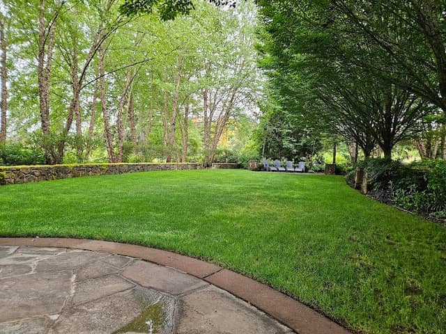 Meadow Garden - Image 1