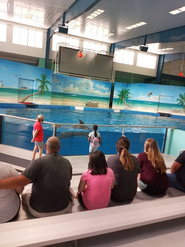 Ocean Adventures Marine Park - Image 2