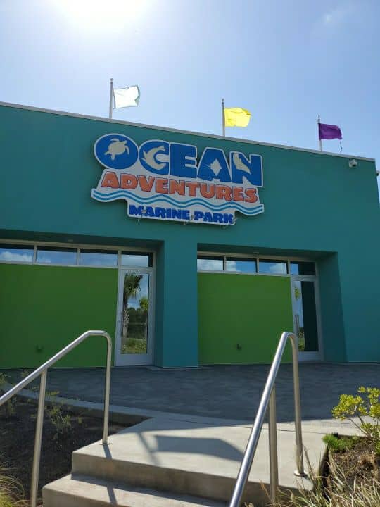 Ocean Adventures Marine Park - Image 1