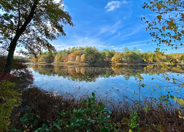Carver's Pond - Image 1