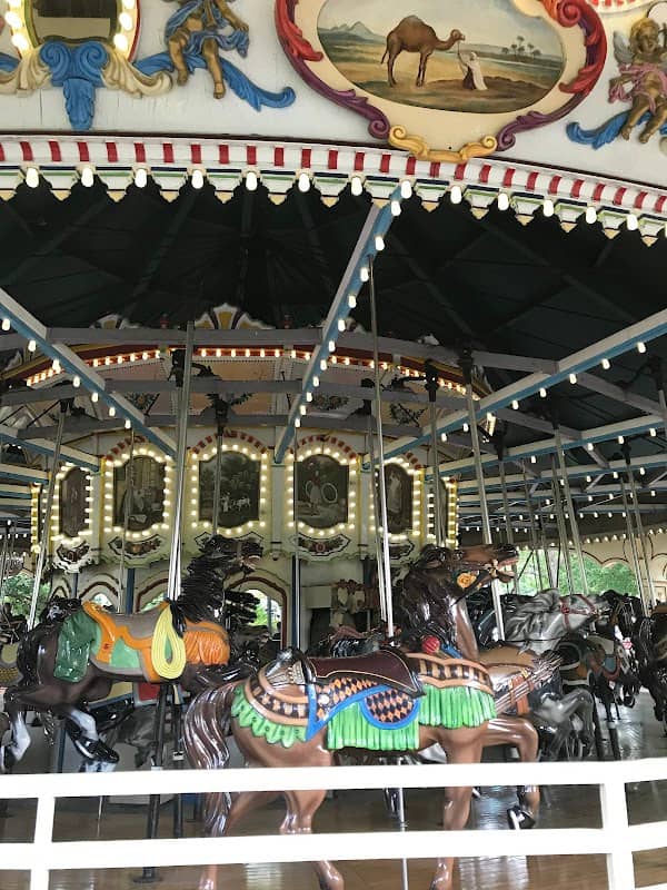 Carousel - Image 3