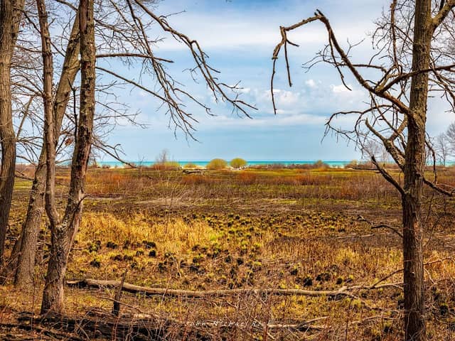 North Dunes Nature Preserve - Image 3