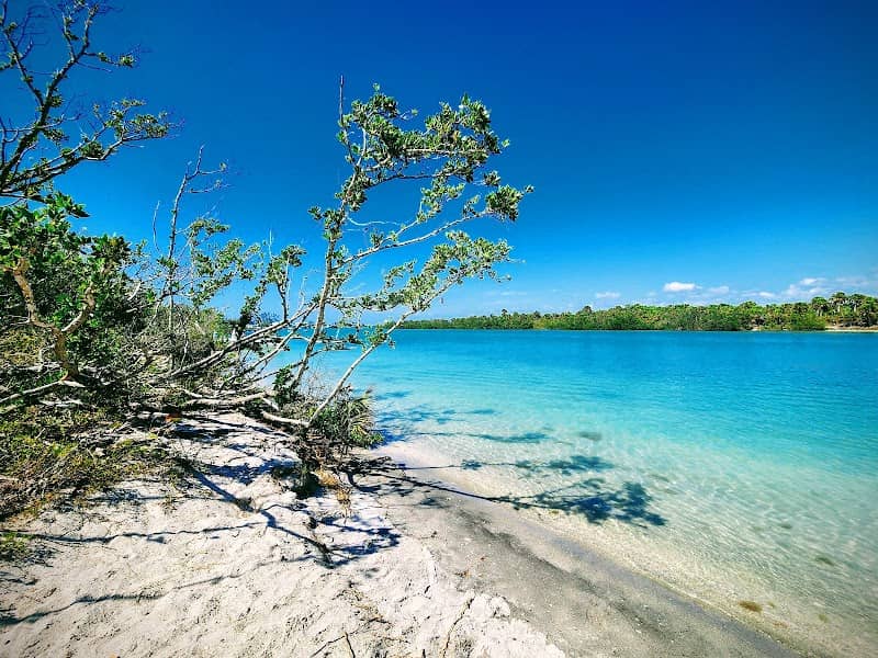 Stump Pass Beach State Park - Image 2