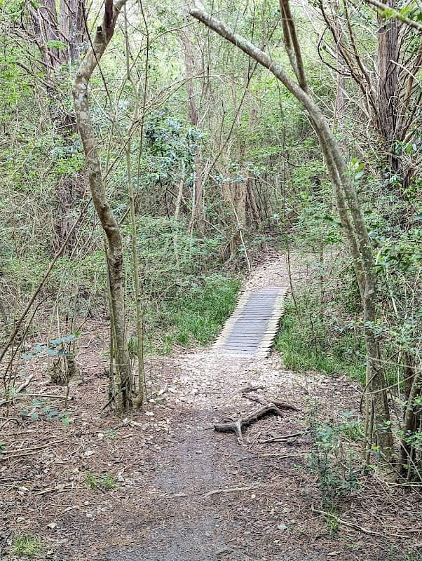 Jack Brooks Park - Image 1