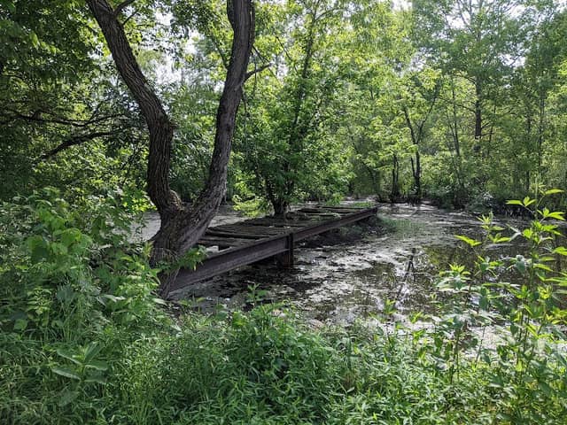 Phipps Bend Trail - Image 1