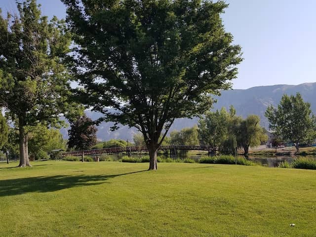 Rees Pioneer Park - Image 1