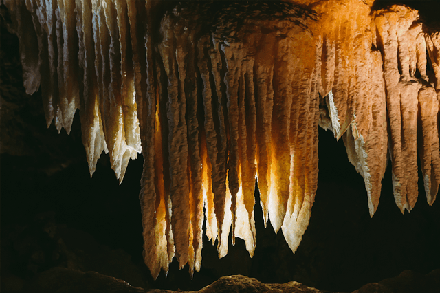 Black Chasm Cavern National Natural Landmark - Image 3