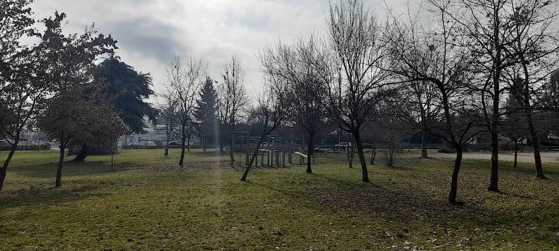 Campetto Calisthenics - Image 1