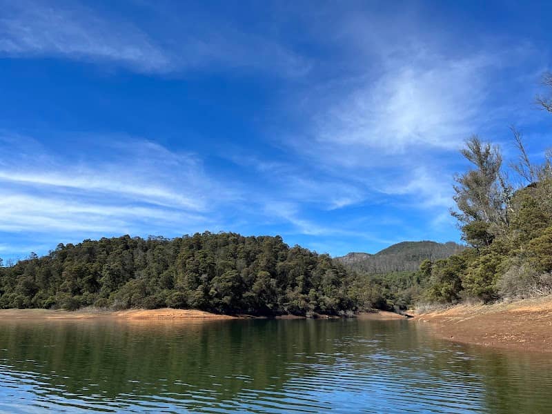 Mukurthi National Park - Image 1
