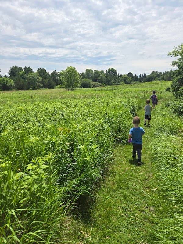 Cedar Hills park - Image 1