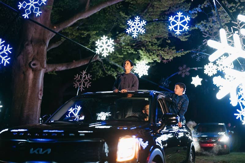 Joyful Lights - Image 3