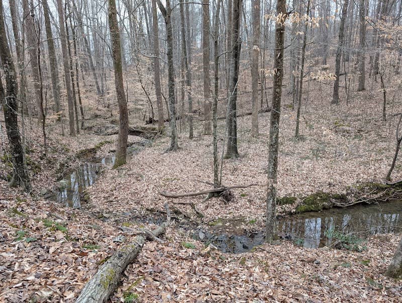 Roberts Chapel Conservation Area - Image 1