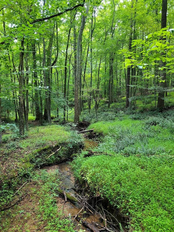Roberts Chapel Conservation Area - Image 3