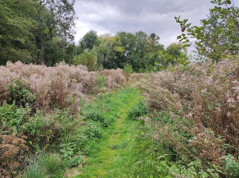 Whitewater Country Park - Image 1