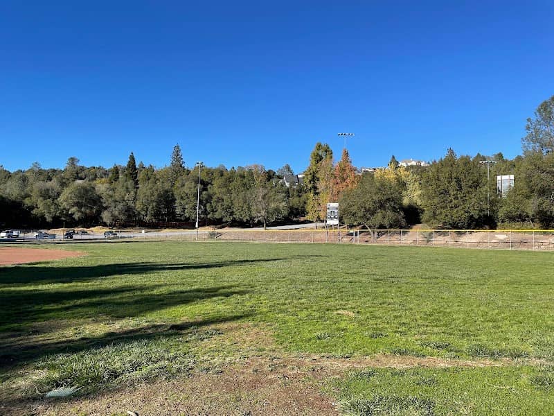 Lions Park - Image 2