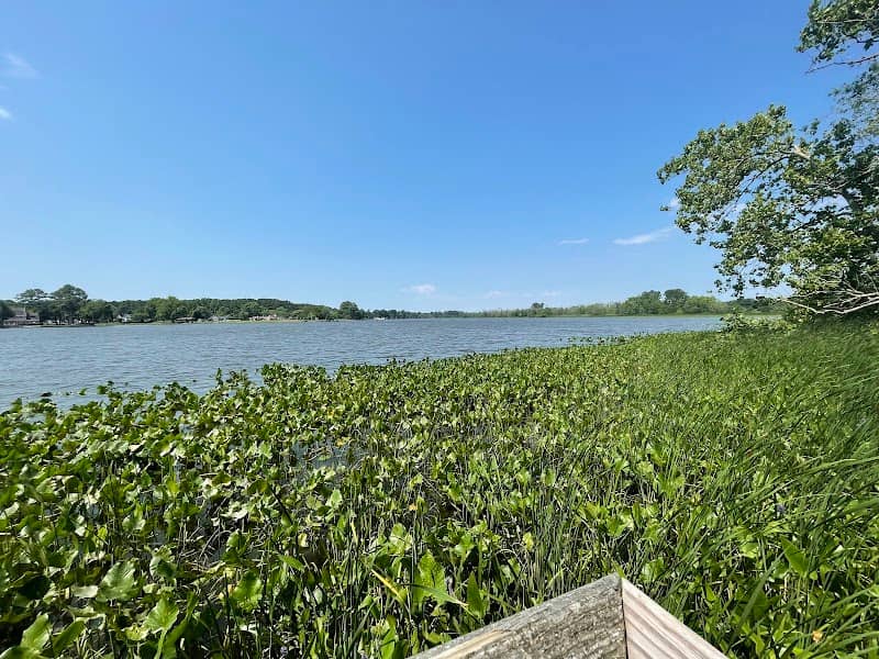 Wicomico River Overlook - Image 2