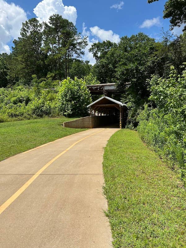 Carrollton GreenBelt Railroad Underpass - Image 2