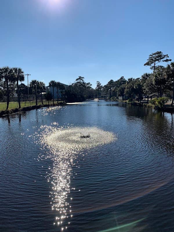 Martin Park - Image 2