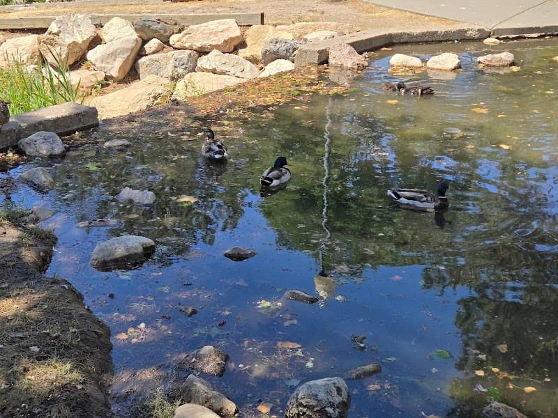 Barker Natural Spring - Image 2