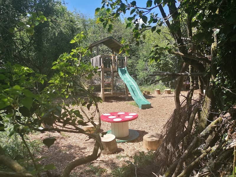Jolly Moon Forest Garden - Image 2
