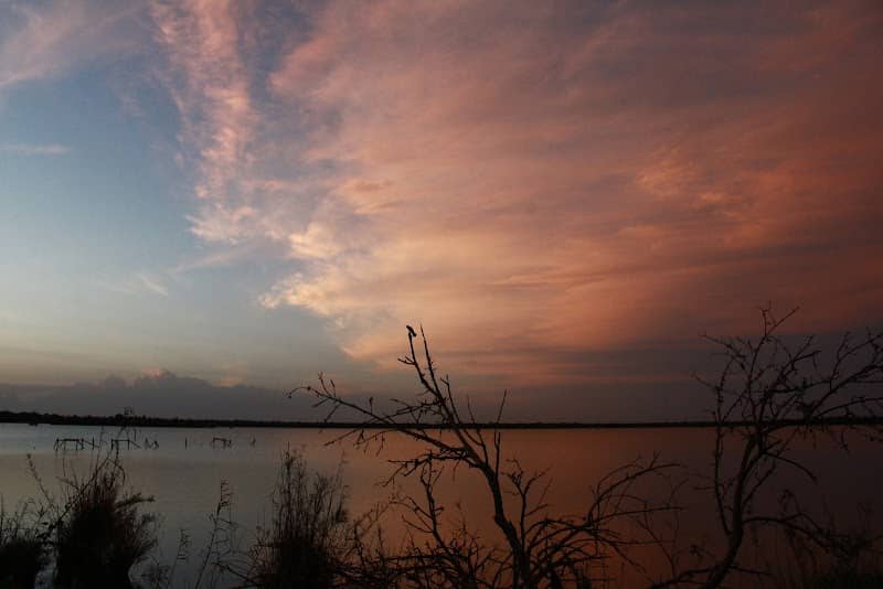 Spanish Lake - Image 2