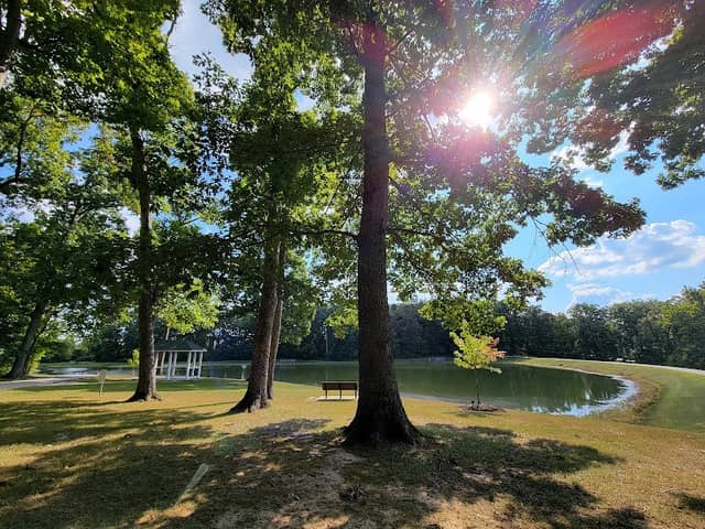 Binkley Woods and Spector Lake - Image 1