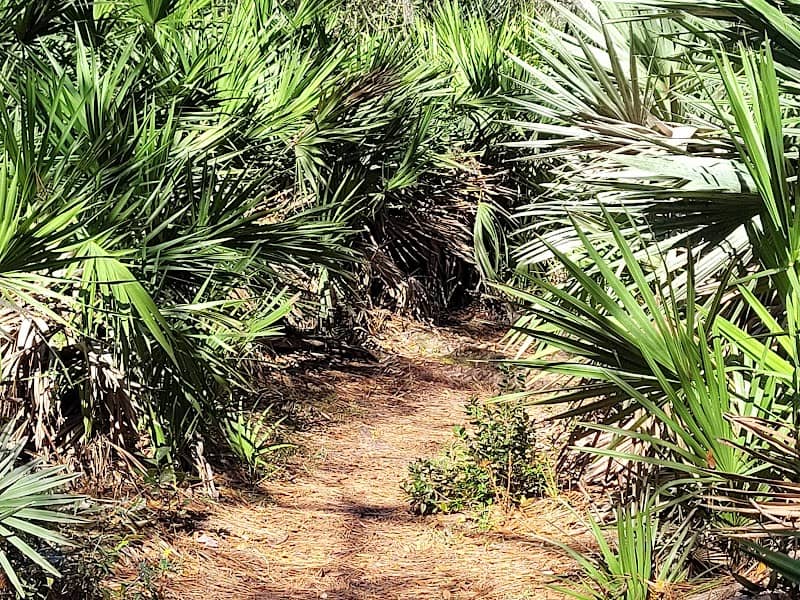 Graham Swamp West Trailhead Parking Lot - Image 1