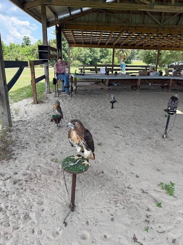 Avian Reconditioning Center - Image 2