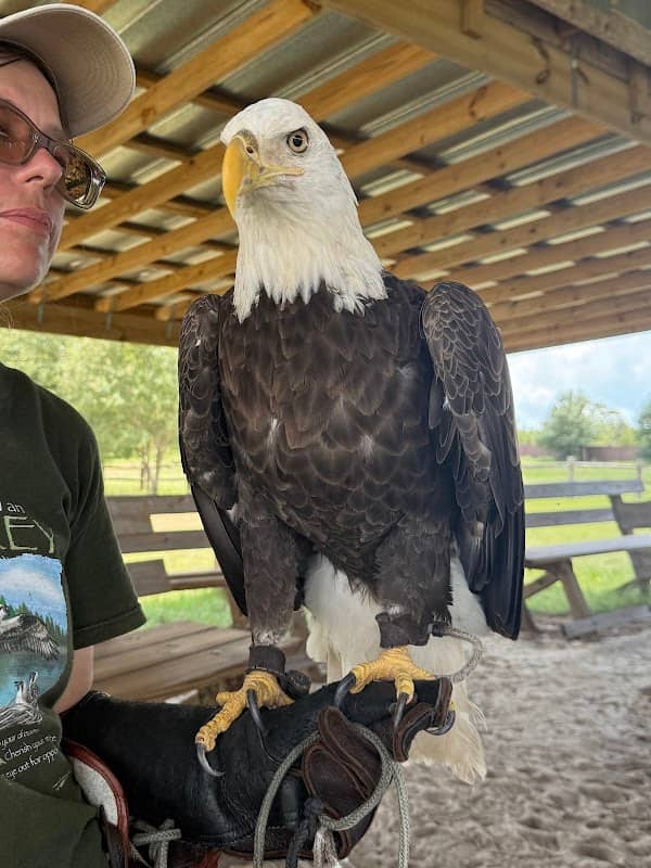 Avian Reconditioning Center - Image 1