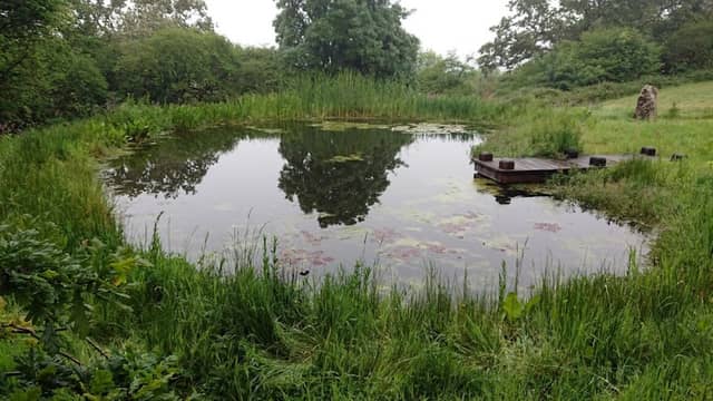 Richmond Community Pond - Image 1