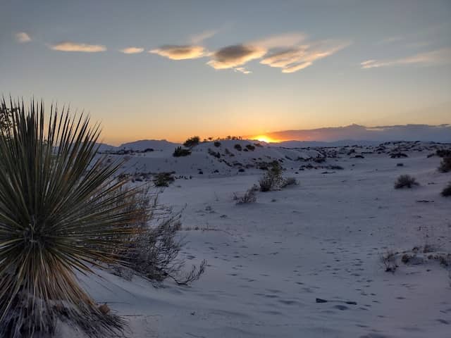 Dune Life Nature Trailhead - Image 1