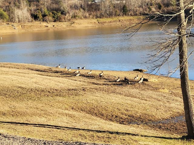 Yatesville Lake - Image 1