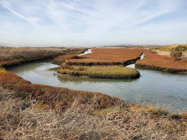 Hayward Shoreline Interpretive Center - Image 2