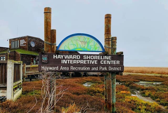Hayward Shoreline Interpretive Center - Image 3