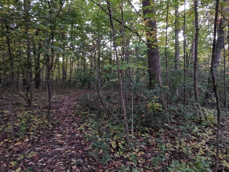 Fountain Square Nature Area - Image 1