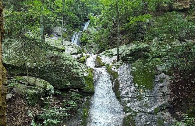 Douthat State Park - Image 3