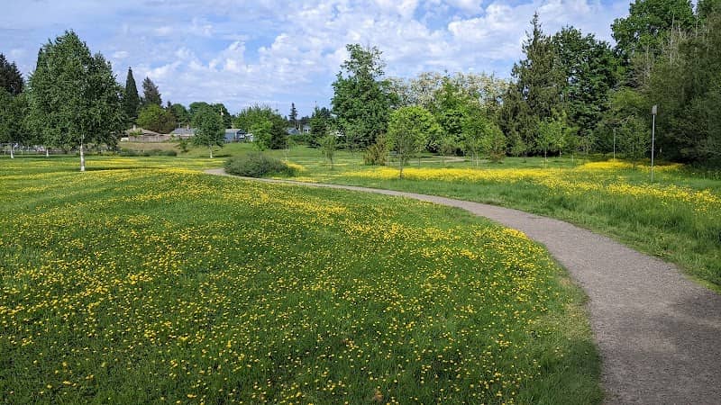 Blueberry Park - Image 2