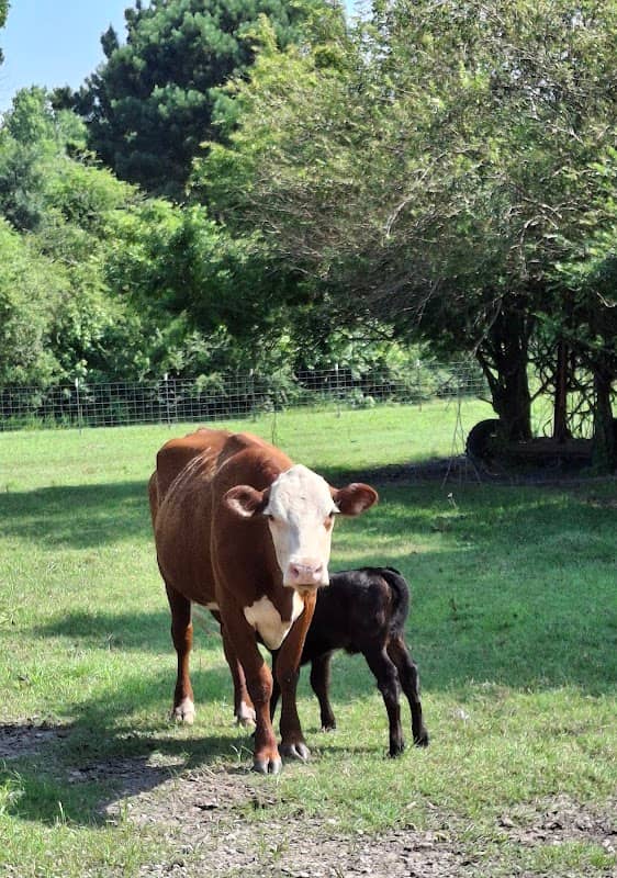JS&S Farm - Image 1