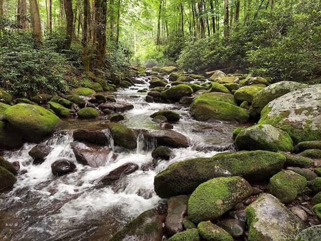 Great Smoky Mountains National Park - Image 1